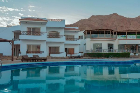 new sea sun hotel